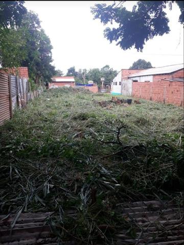 Terreno Jardim Ouro Verde VG - Foto 2