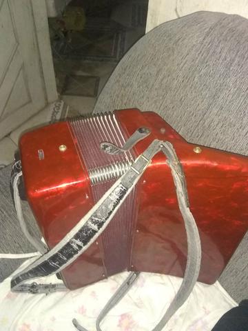 Acordeon dolphin 1500,00