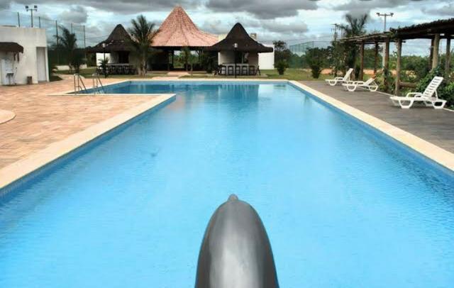 Lote - Fazenda Real 4 - 750m² - (promoção) -SN - Foto 4