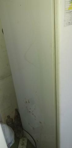 Freezer - Foto 4