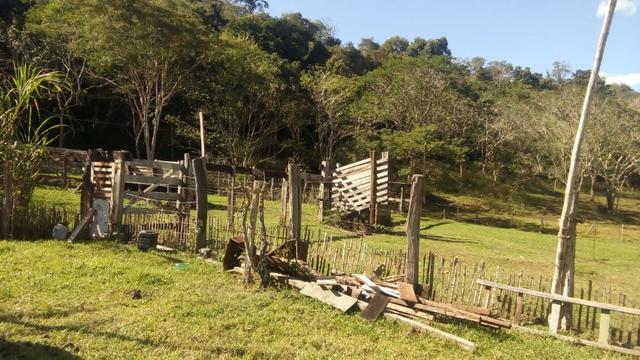 Fazenda e Cotas para Reposição Florestal - Foto 15