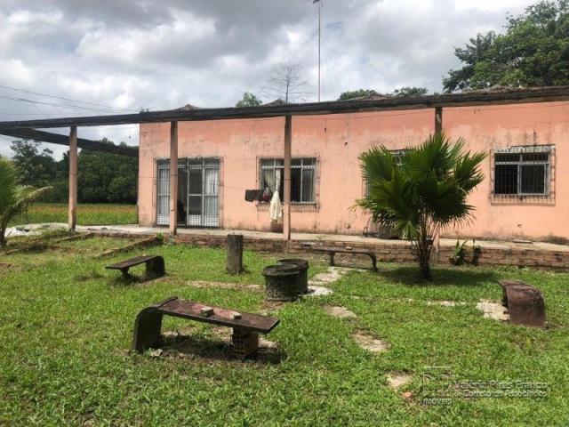 Sítio à venda em Maguari, Benevides cod:6752 - Foto 5