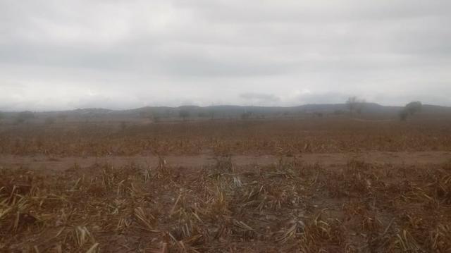Ótima propriedade de 120 hectares, 70% plana, em Gravatá-PE. Por apenas R$ 780 mil! - Foto 11