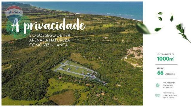 Terreno à venda em trancoso-ba - Foto 4