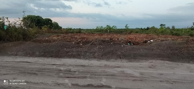 2 terrenos - Foto 2