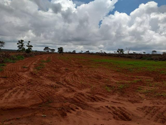 Excelente fazenda - Foto 3