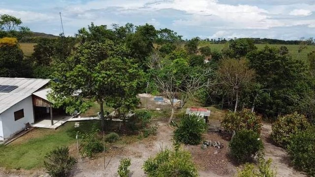 Fazenda em Rio Sono plantando lavoura. - Foto 4