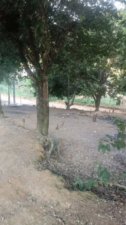 Abaixei 62mil no pix   - Foto 5