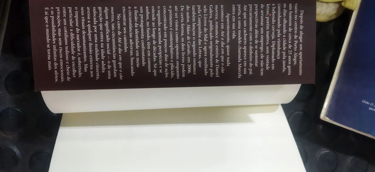 Livro "Até o dia em que o cão morreu" - Daniel Galera - Foto 3