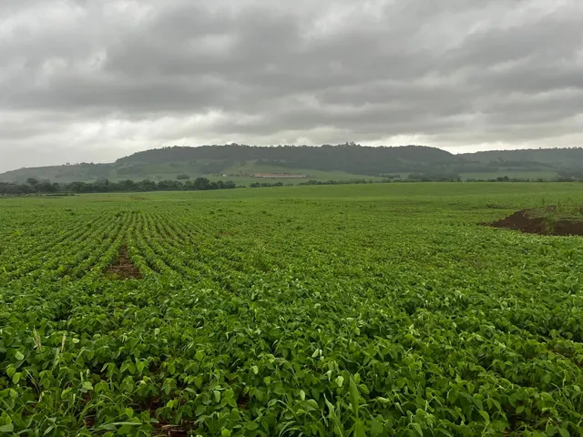 Vende fazenda 271 alqueiro a 1.500 saca de soja