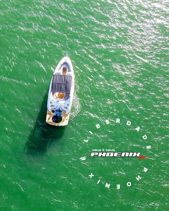 Promoção na linha Phoenix 24 - Foto 10