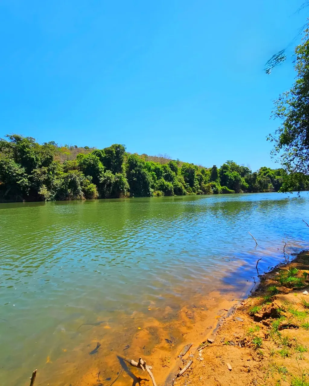 Vendo Terrenos às Margens do Rio Pará Financiamento Próprio Mensais de 1.245