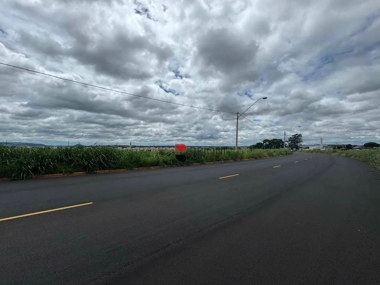 Área à venda, 10000 m² por R$ 15.867.000- Adelino Simioni - Ribeirão Preto/SP - Foto 3