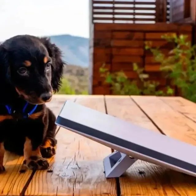 Roteador Wireless Kit Starlink Mini WI-FI  5 AC Dual Band - AUTORIZADO LATAM - Branco. - Foto 3