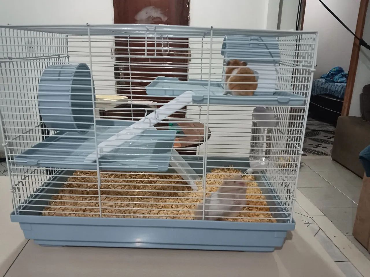 Mansão pra roedores 