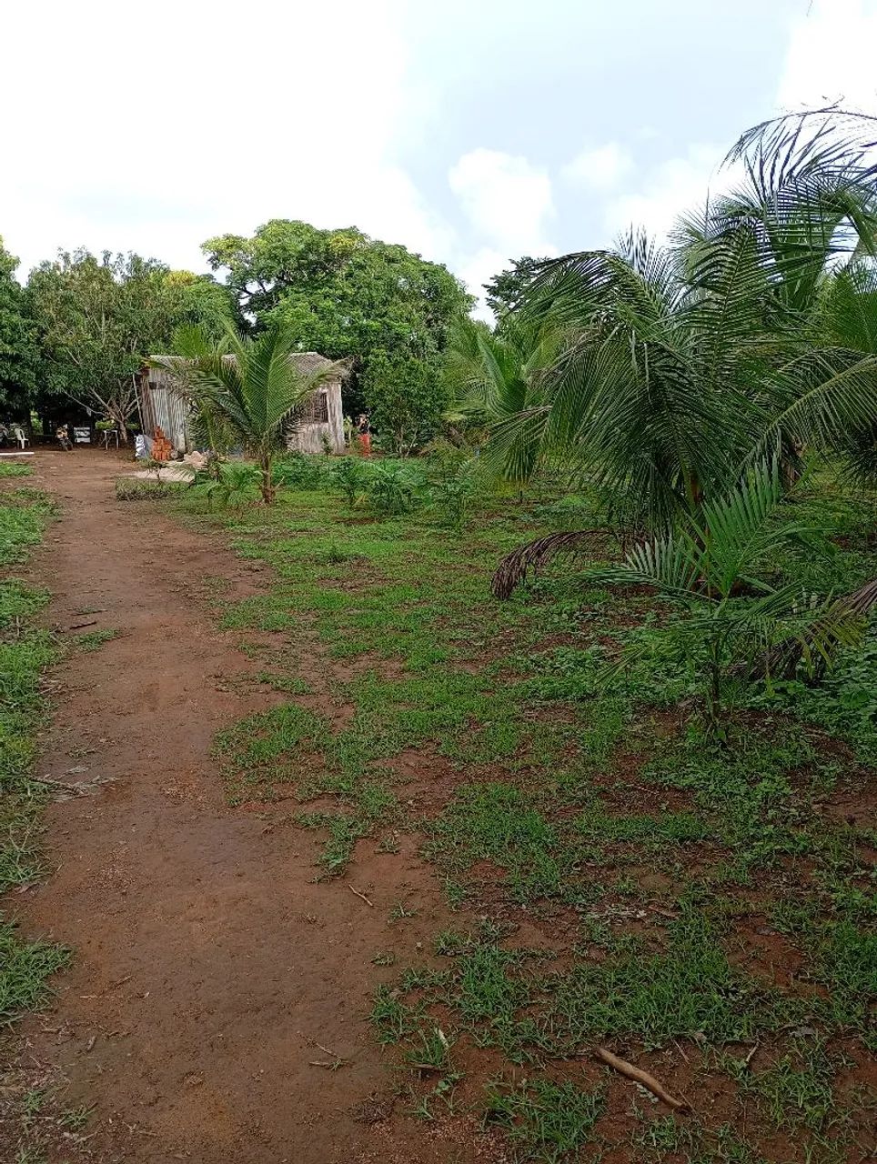 Foto - Parauapebas - 