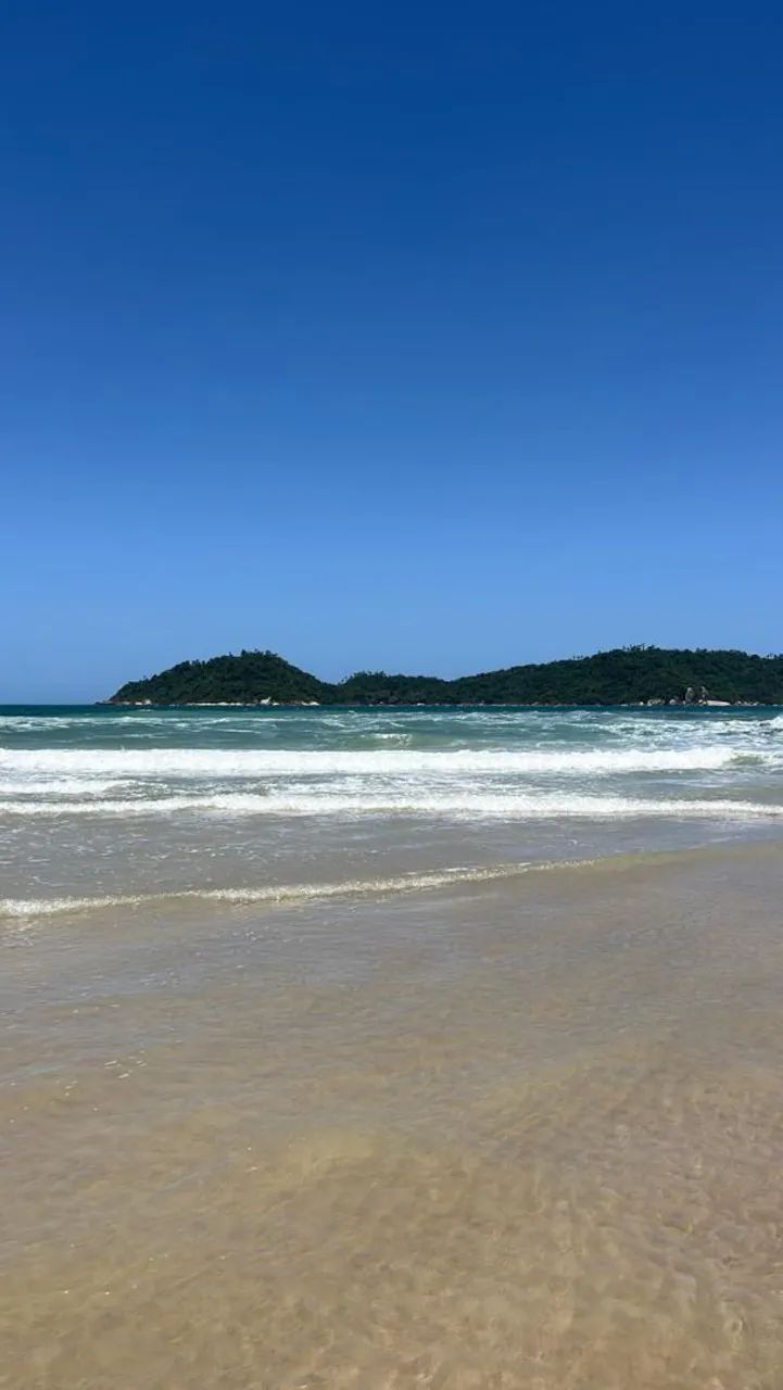 Apto para temporada.