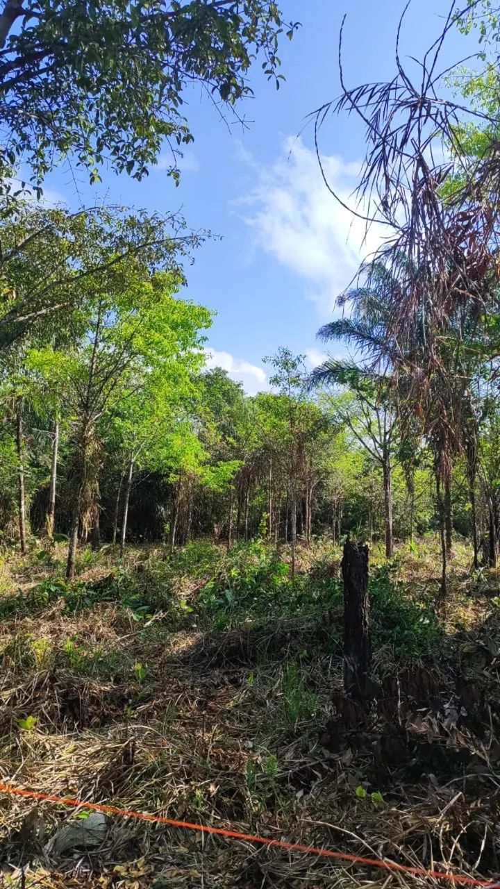 Terreno em Santa Rita 