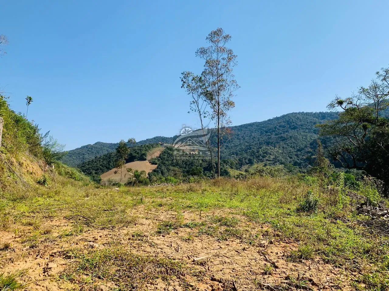 Terreno Rural para Venda em Angelina, BARRAGEM - Foto 3