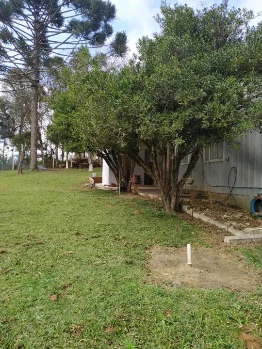 Chacara em Mandirituba - Foto 12