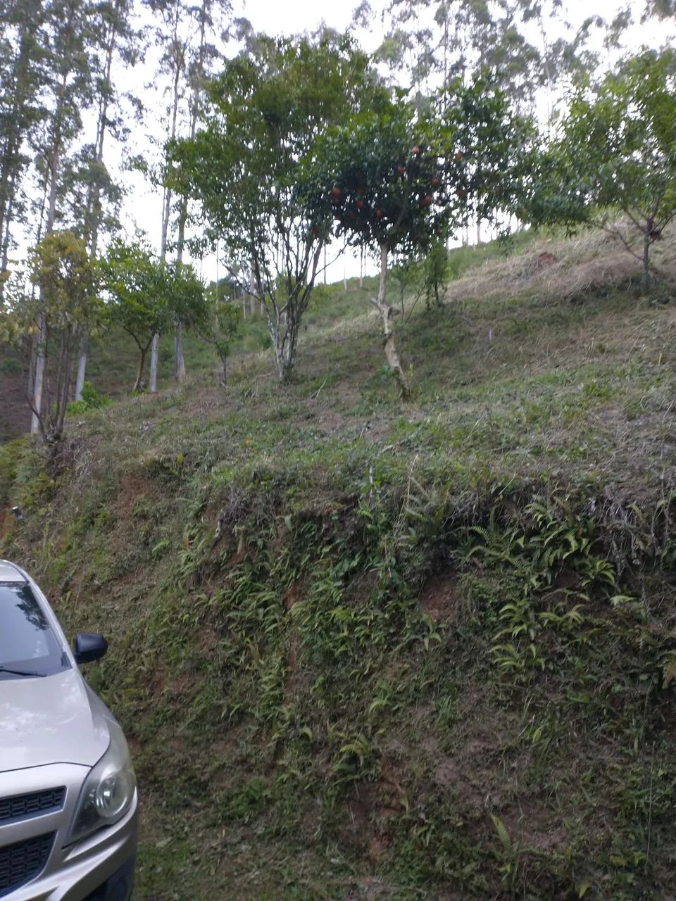 Sitio em são Bonifácio - 20,000 metros - Foto 2