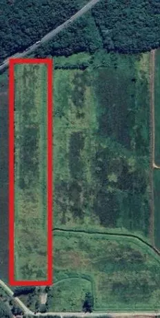 Imóvel para venda possui 50000 metros quadrados em Vila Nova - Joinville - SC
