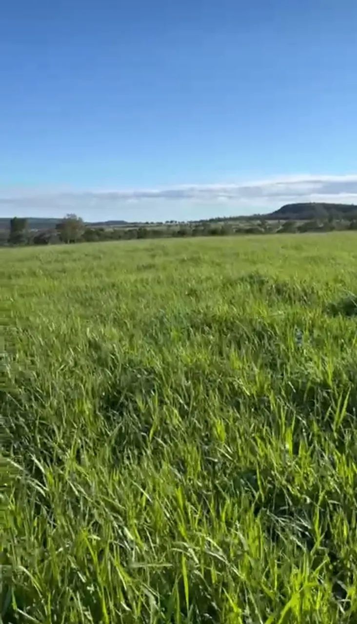 Fazenda em Ponte Alta. - Foto 2