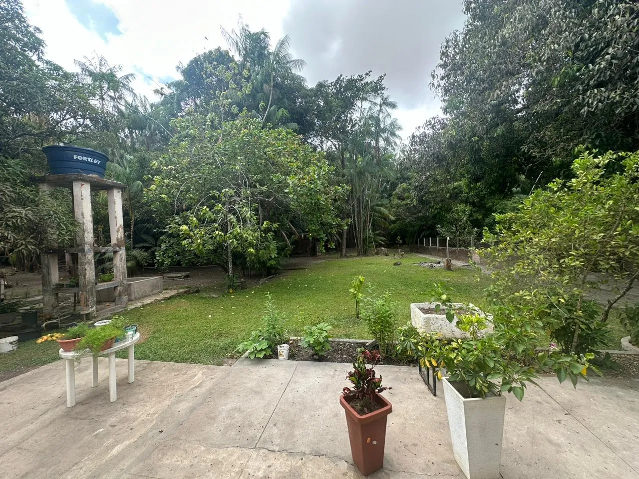Vendo Sítio próximo Av. General Arthur Carvalhor