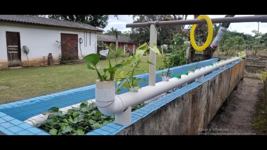 Chácara em Praia de Leste, Com Fundos para o Rio Guaraguaçu. - Foto 8