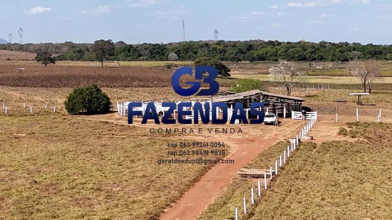 Faz 86 Alq 60 Alq de Pasto toda plena na br153 dos dois lados  - Foto 7