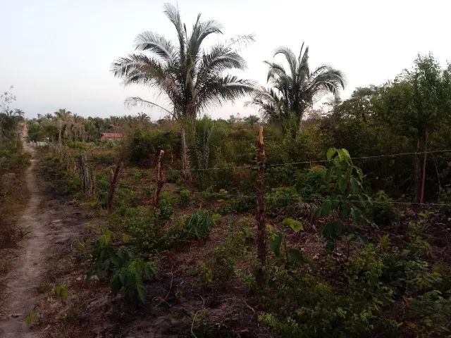 Foto - Teresina - Esplanada