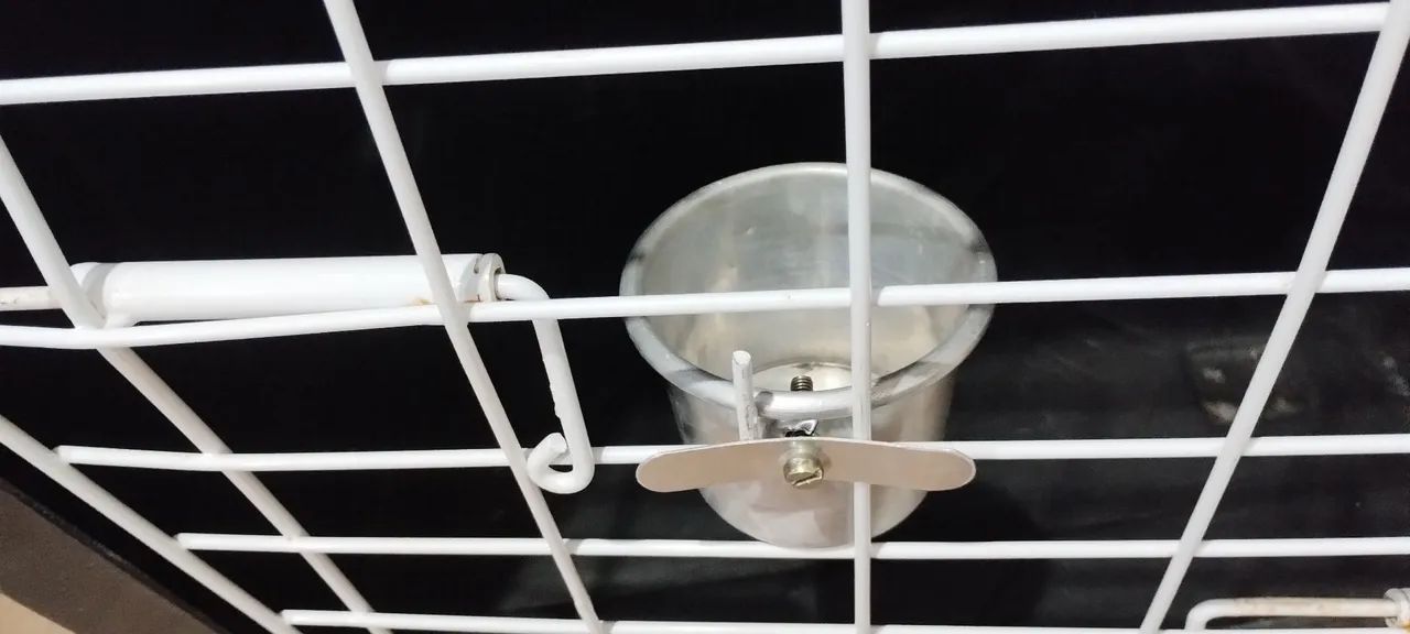 Vendo linda casa de cachorro e caixa transportadora a  - Foto 2