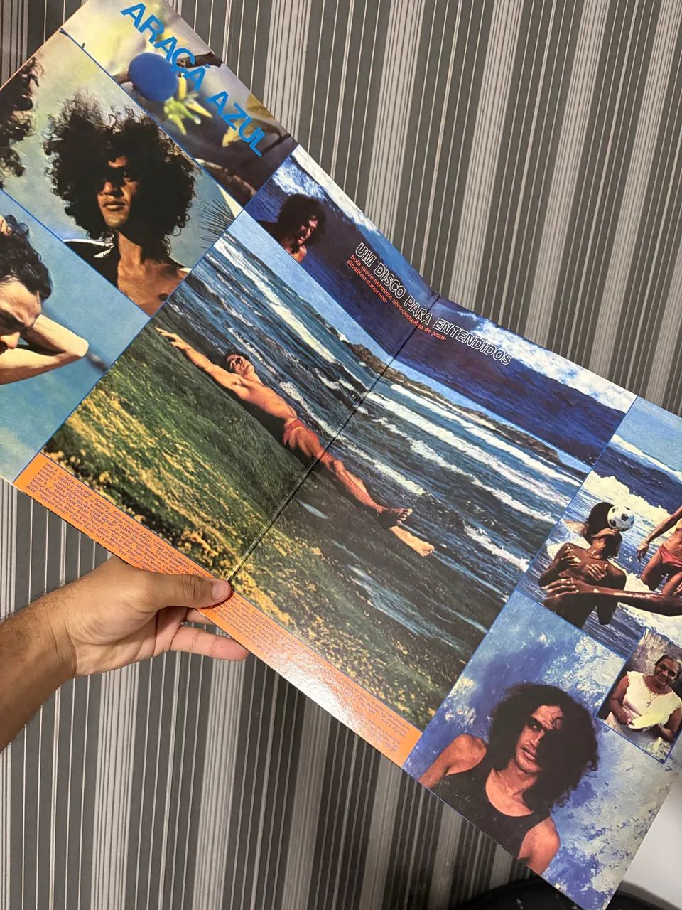 Lp Caetano Veloso - Araça Azul (Importado / gatefold / disco transparente) - Foto 2