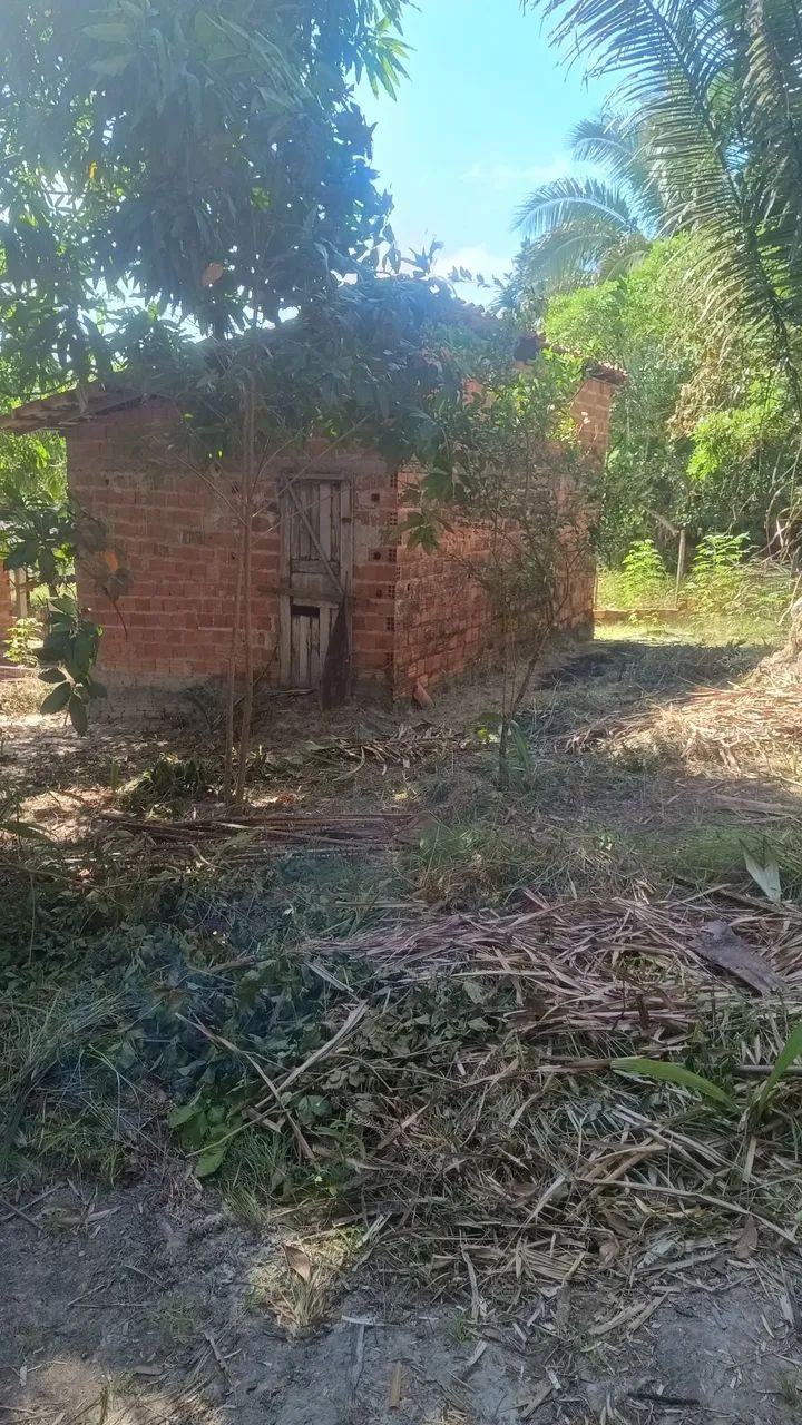 Vendo terreno/casa - Foto 3