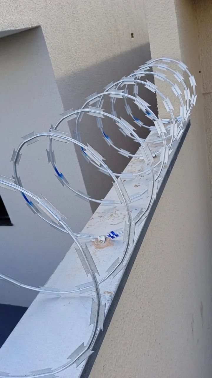 Concertina - Foto 2