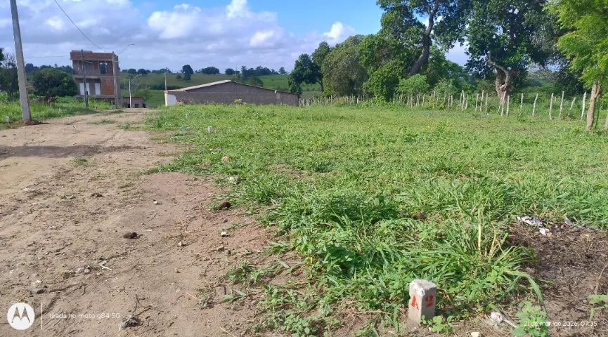 Terreno em Limoeiro-Pe