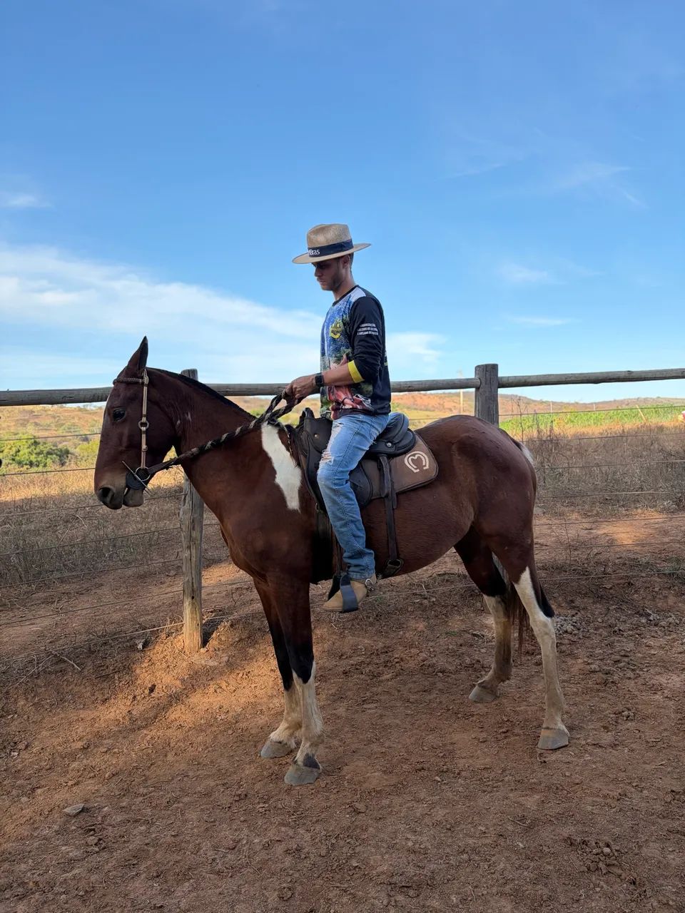 Vendo égua mangalarga  - Foto 3