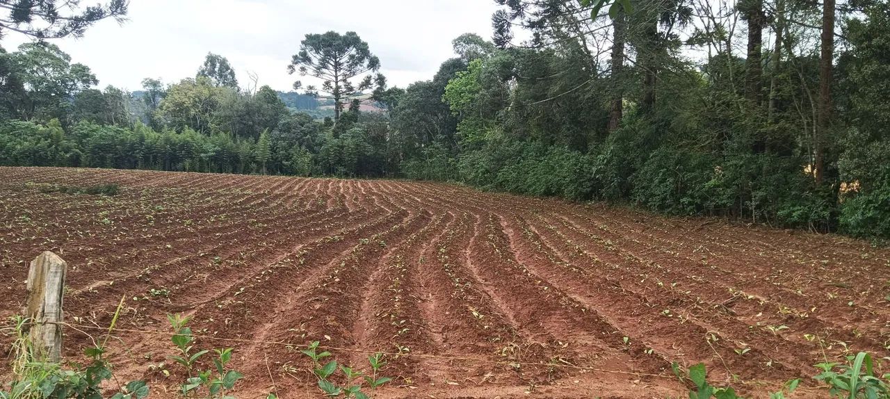 Terreno  - Foto 2