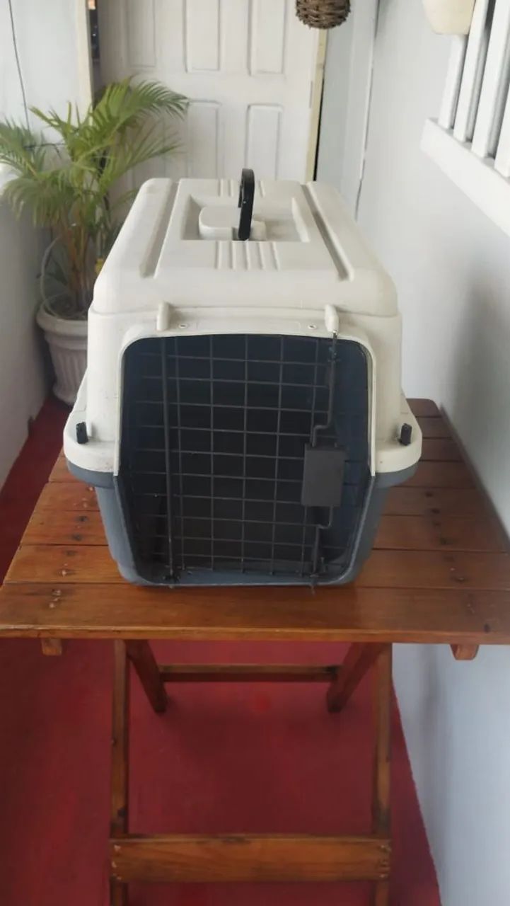 Vendo casinha de PET ( semi nova)