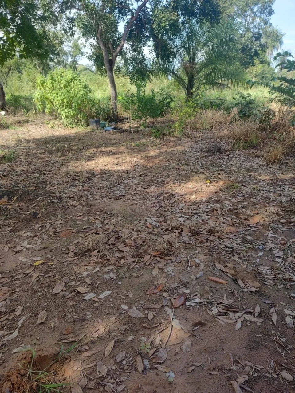 Chacara localização capão redondo livramento - Foto 4