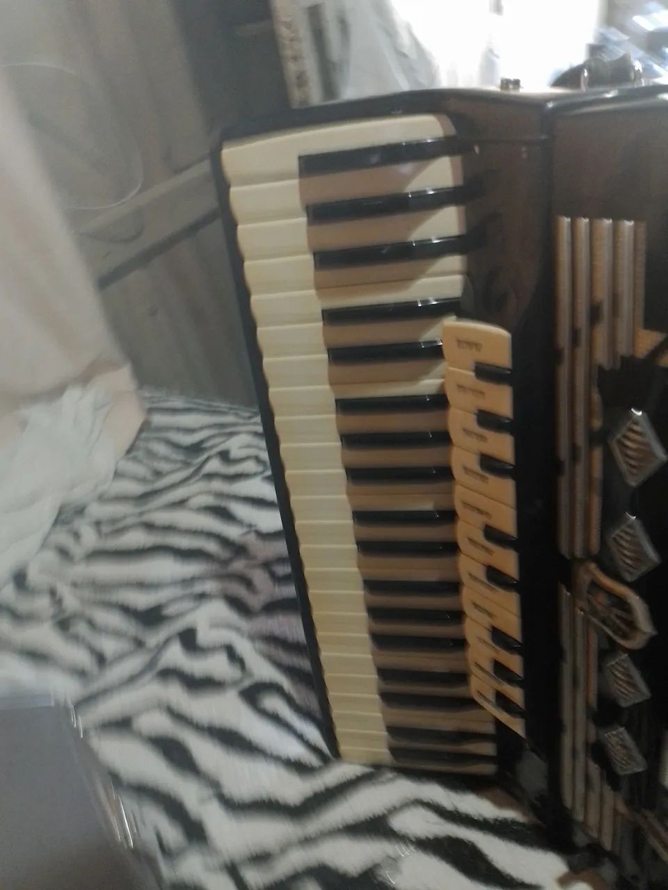 Acordeon  - Foto 4
