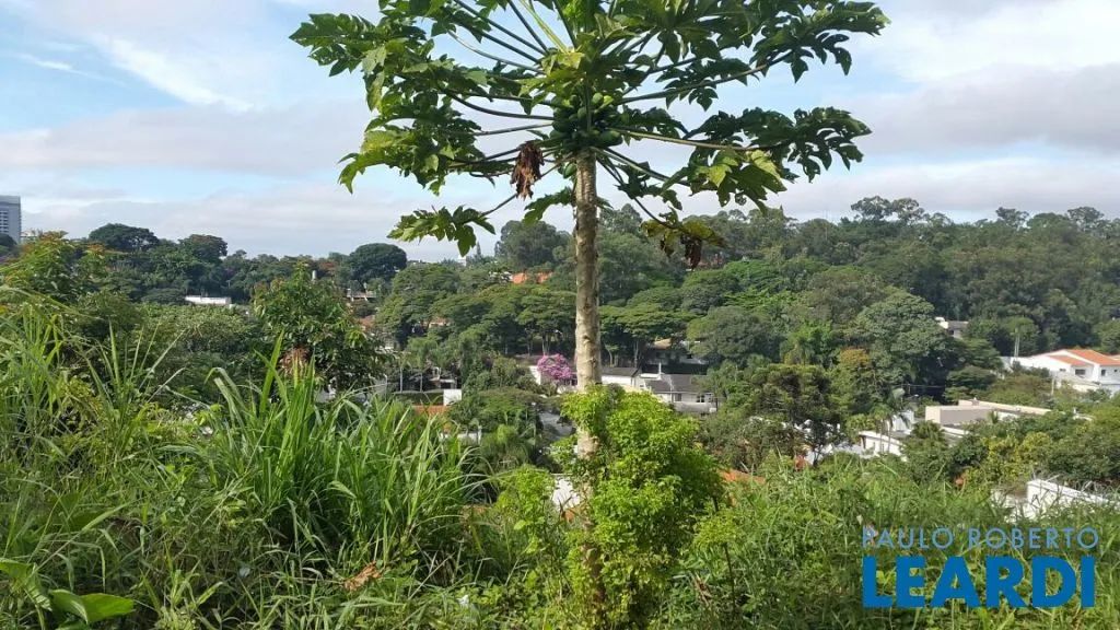 TERRENO - REAL PARQUE - SP - Foto 2