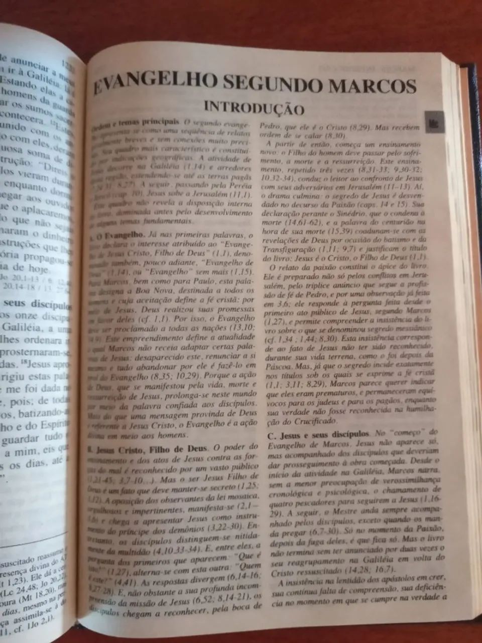 Bíblia TEB - Foto 4