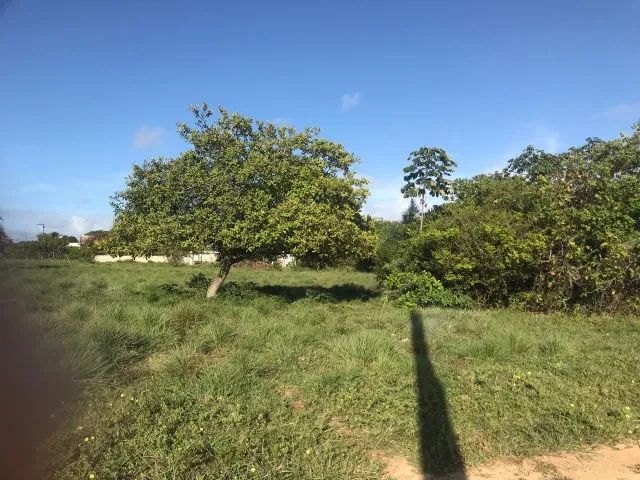 TERRENO NO MOSQUEIRO, 15x30mt - Foto 4