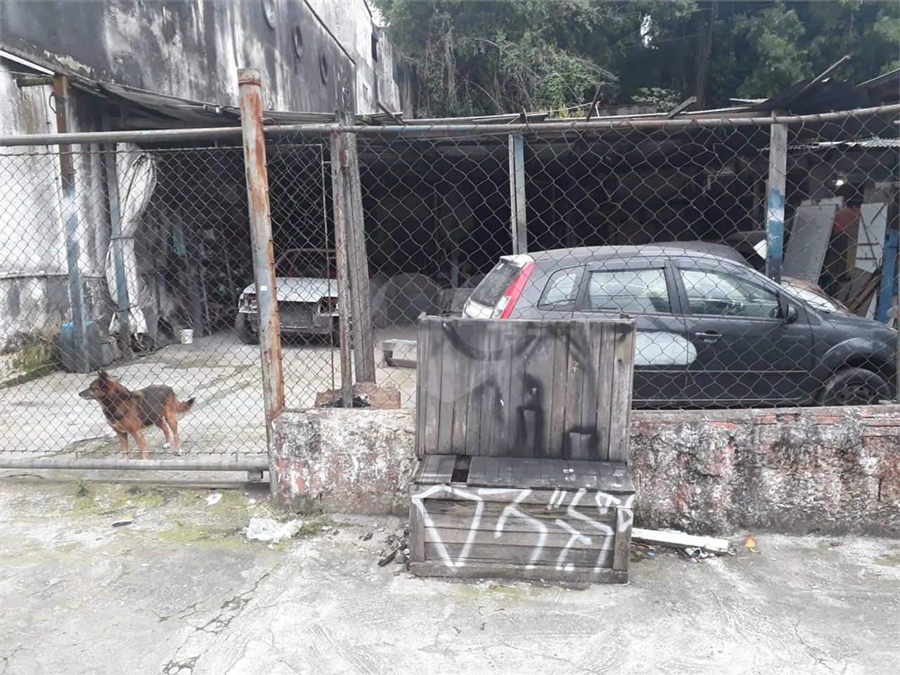 Terreno à venda em Vila prudente - SP - Foto 4