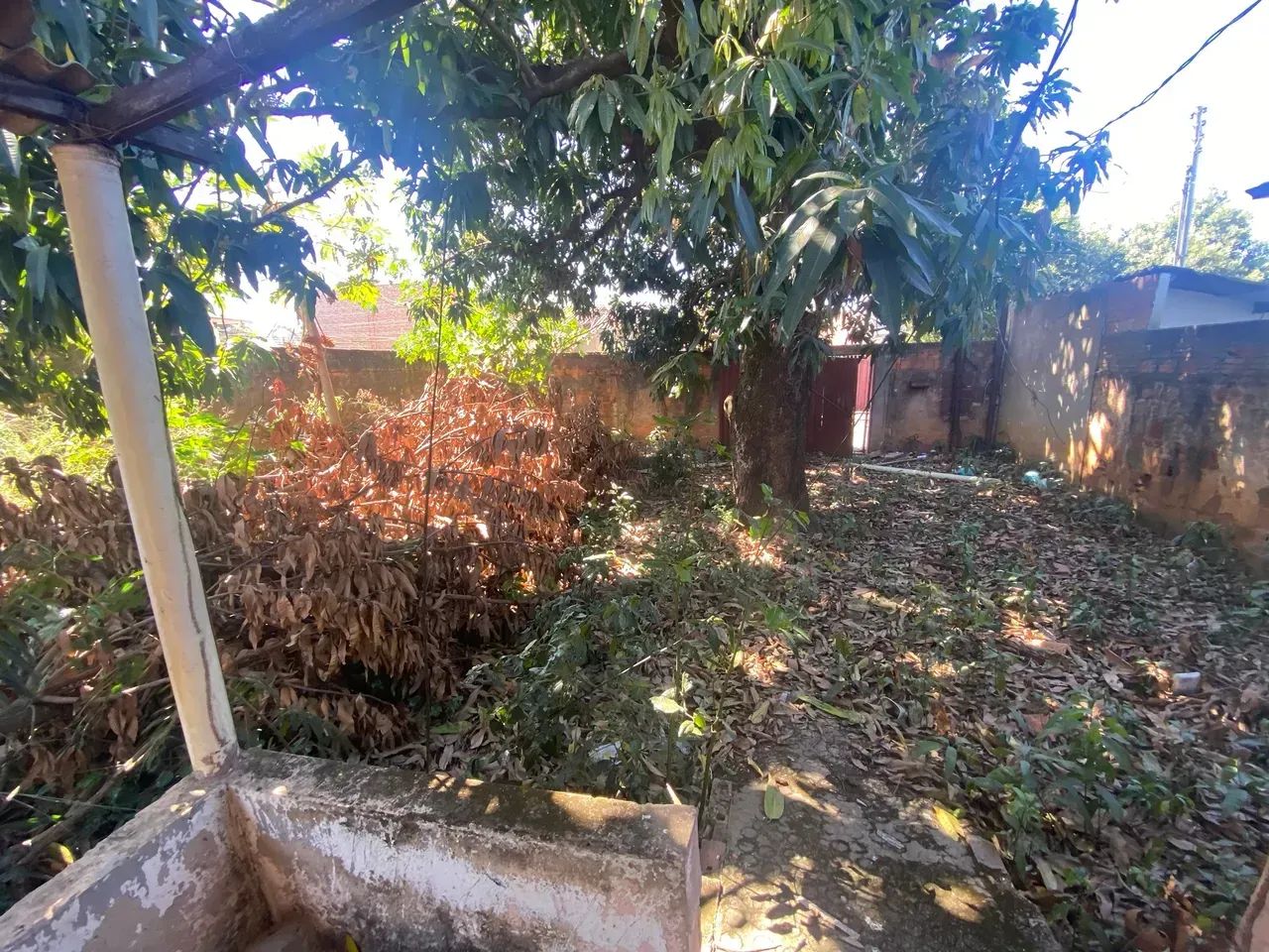 jardim luz 250.000 + documentaçao - Foto 2