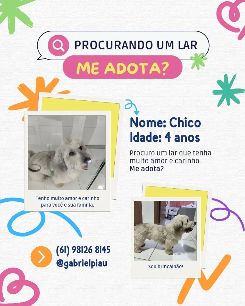 Adoção pet 