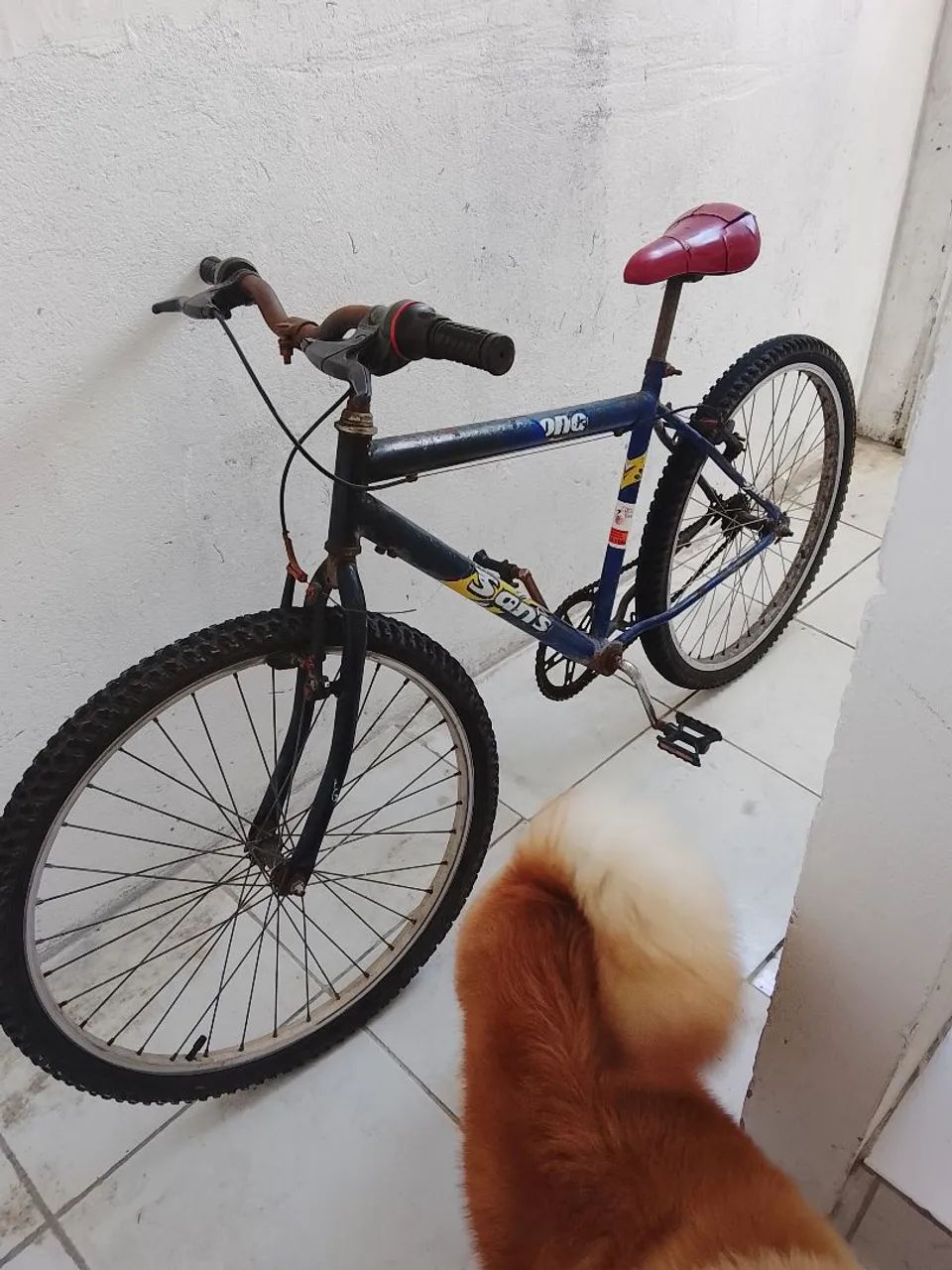 Bbicicleta  - Foto 2