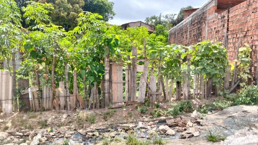 Venda de Terreno  - Foto 4