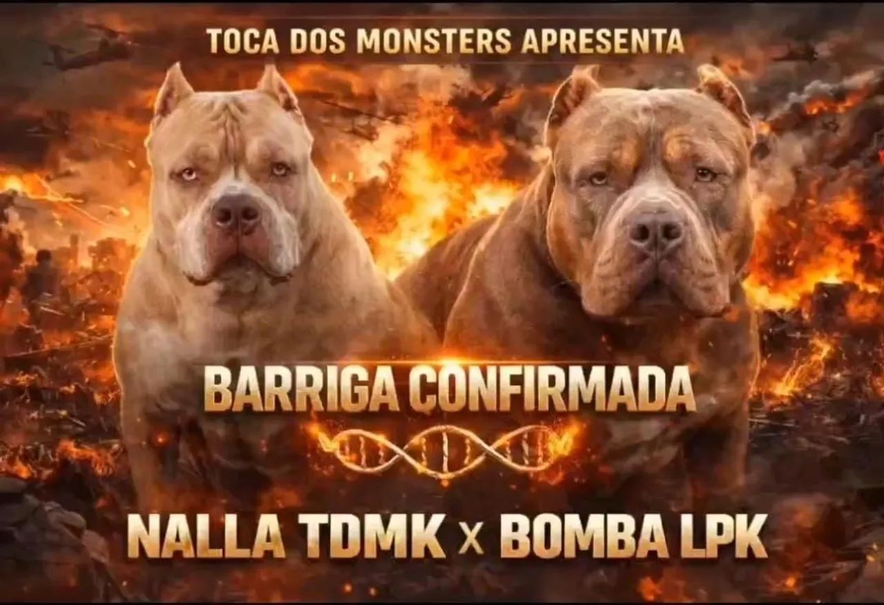 Pitmonsters  - Foto 2